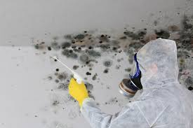 Best Comprehensive Air Testing for Mold Contaminants  in USA